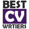 BEST CV WRITERS.png