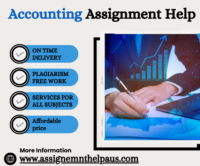 Accounting Assignment Help (1).png